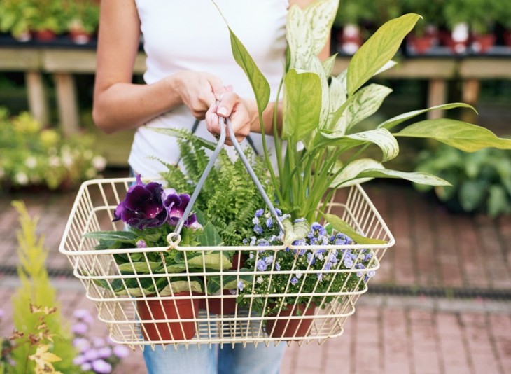 Lawn and Garden Store Point of Sale System RDS